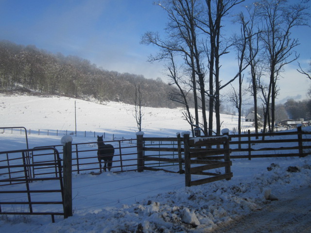 home-in-west-virginia-with-horses-in-field